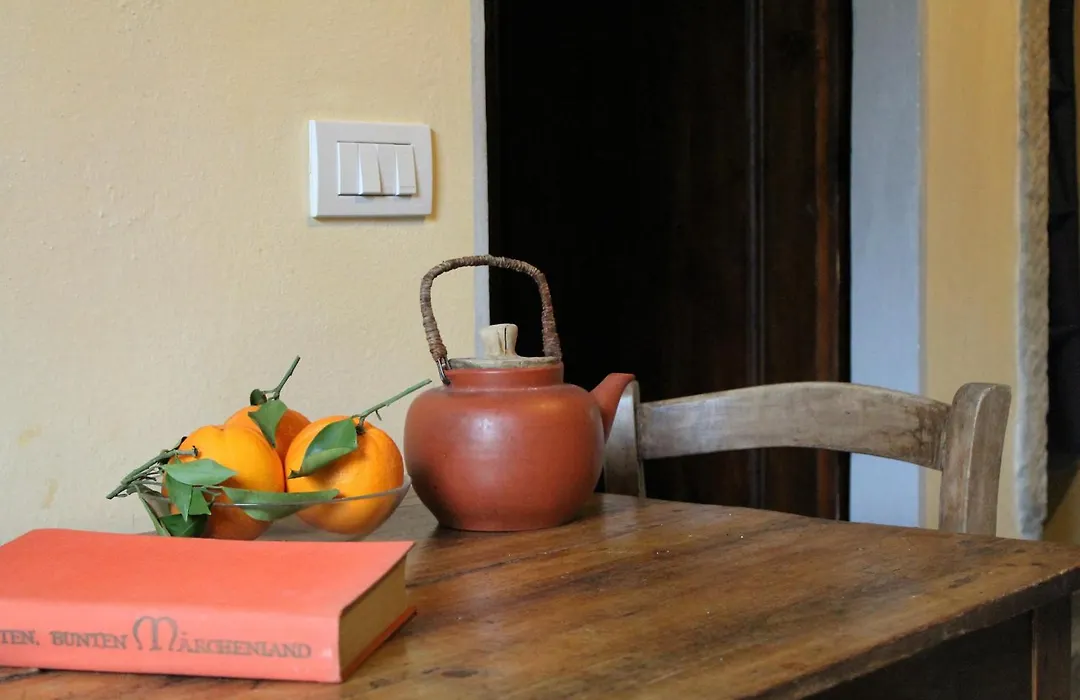 Il Cielo Bio - Nature, Relax, Shiatsu, Massage, Esplore Chianti-1