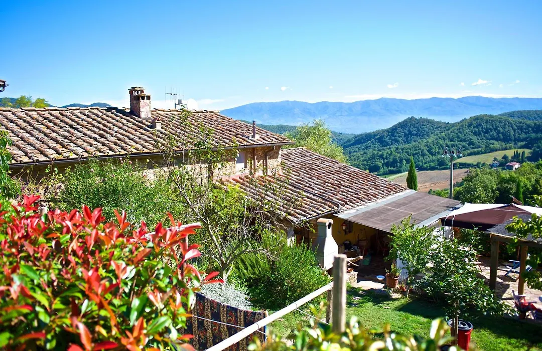 Lionforti Da Vico-1