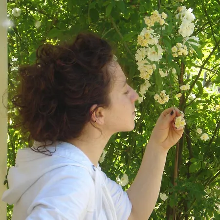 Il Cielo Bio - Nature, Relax, Shiatsu, Massage, Esplore Chianti-3