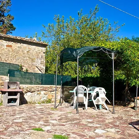 Lionforti Da Vico-3